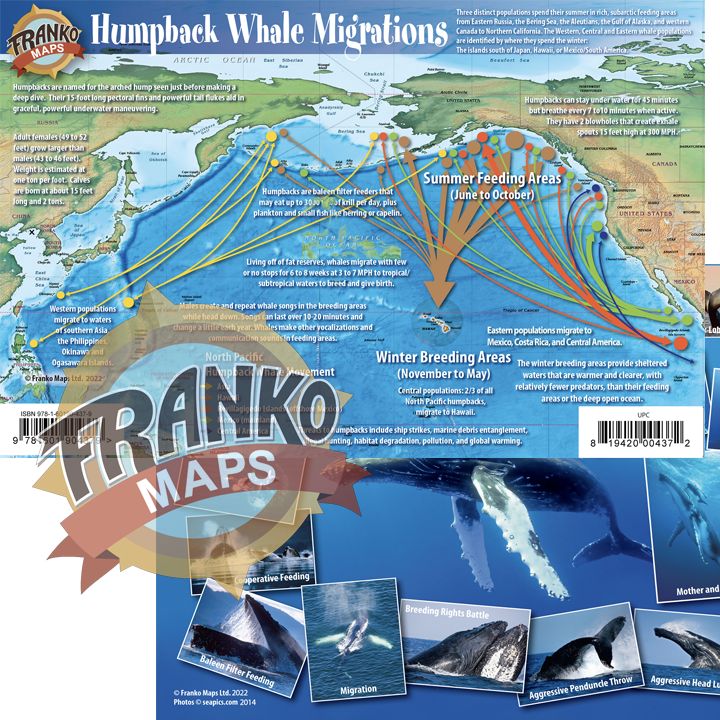 Humpback Whale Migration card by Franko Maps